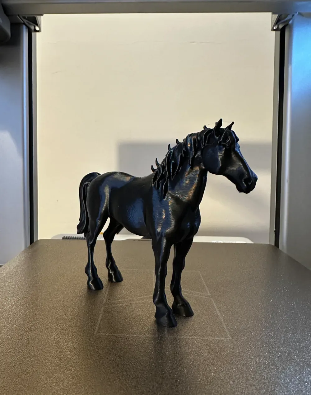 Caballo, vista 1