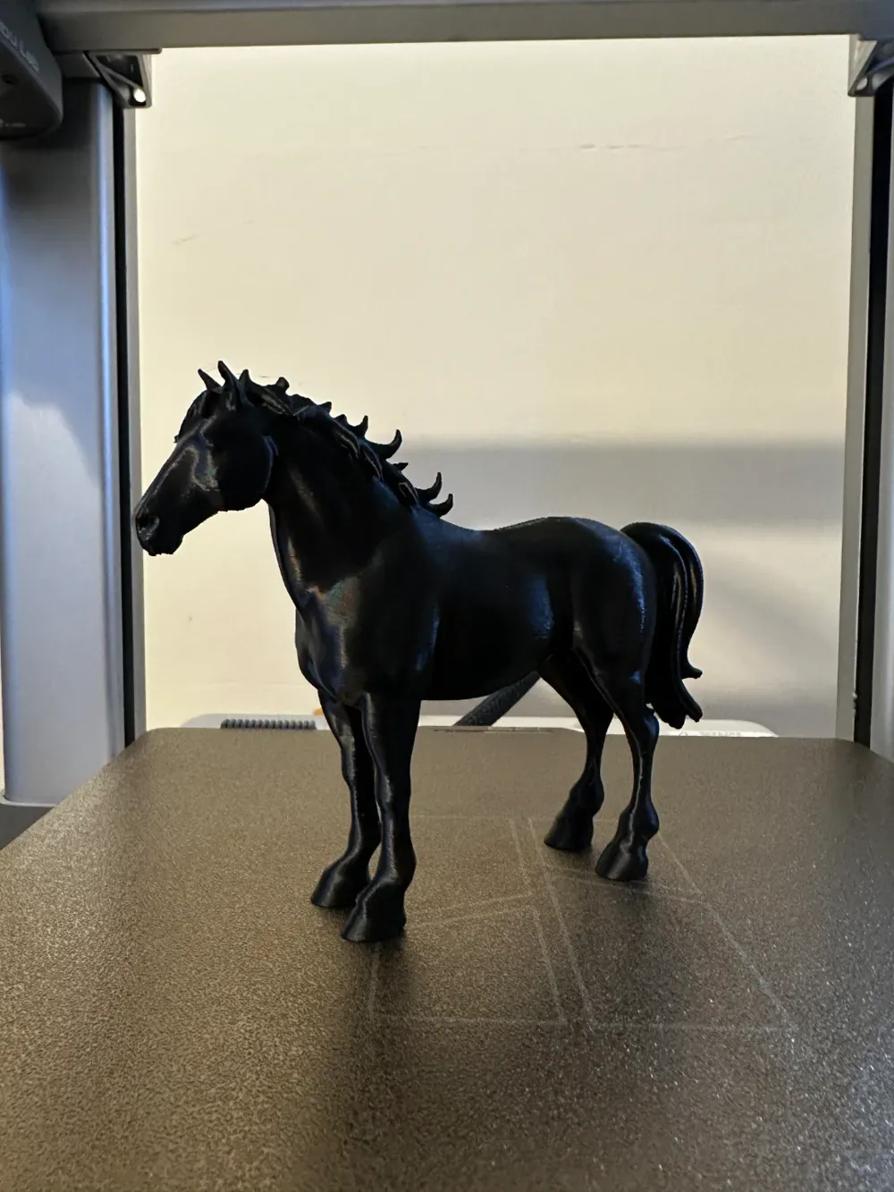 Caballo, vista 2