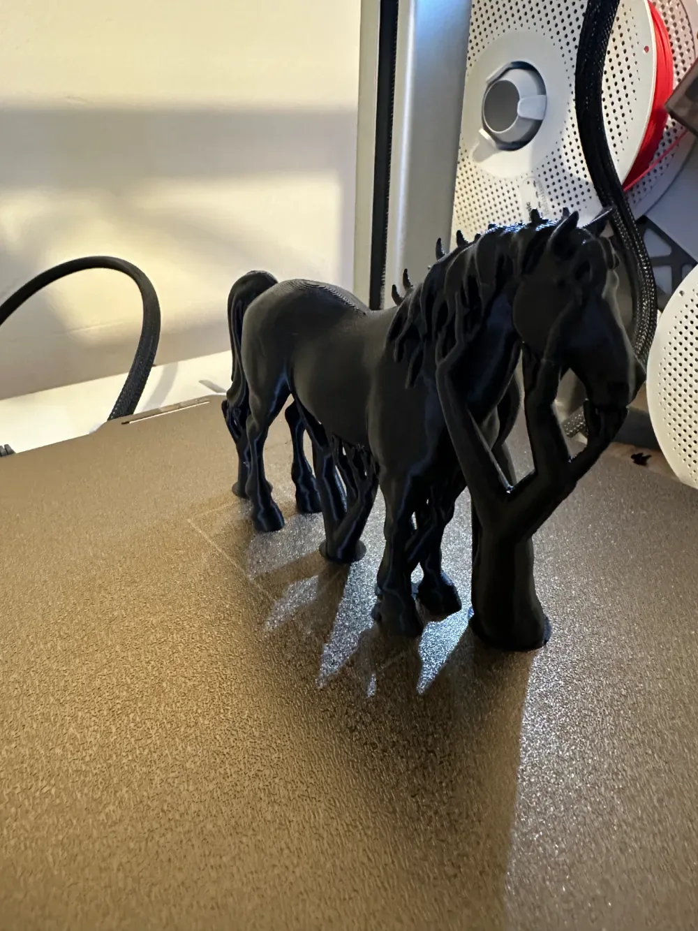 Caballo, vista 3