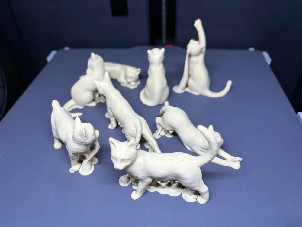 Ocho gatos en miniatura en un plato., vista 2