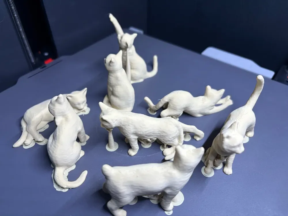 Ocho gatos en miniatura en un plato., vista 3