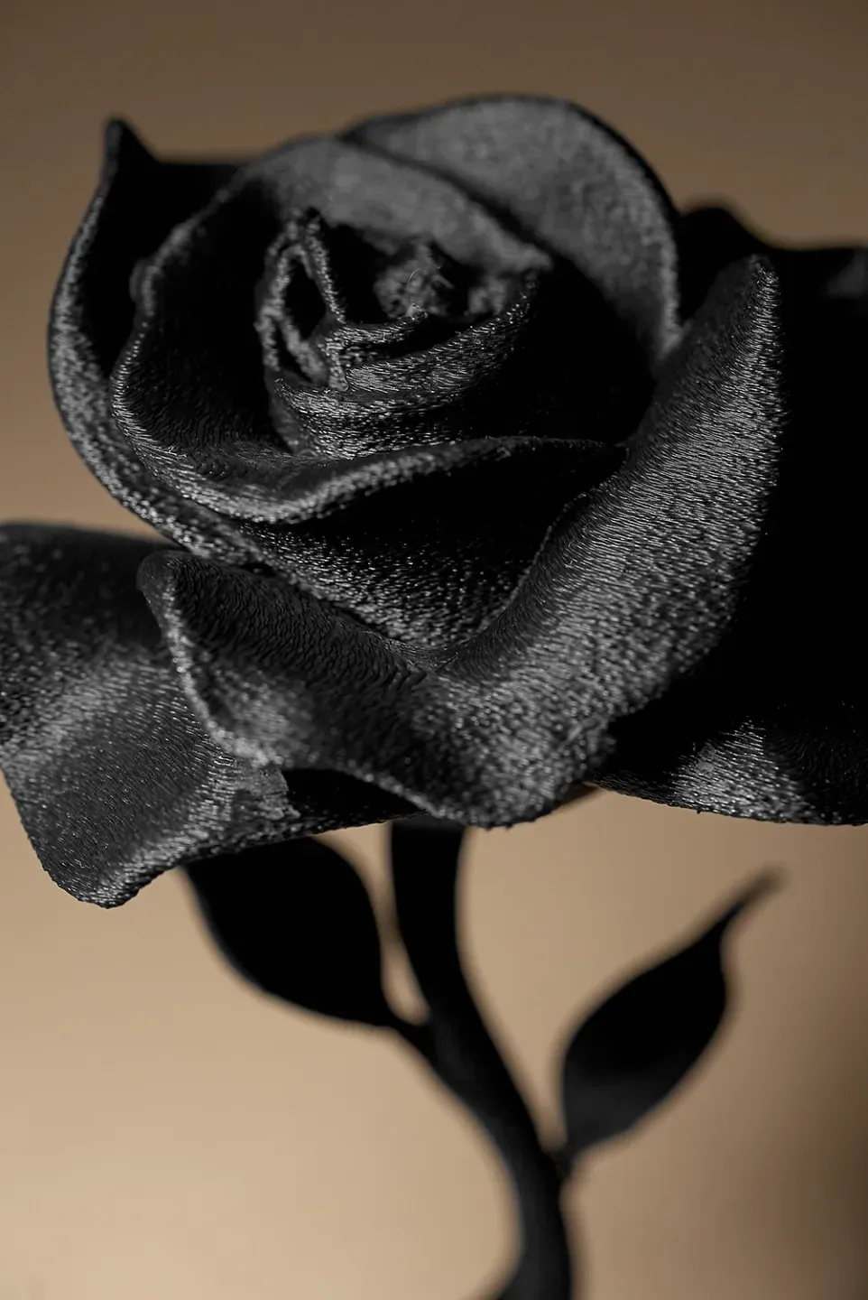 decoración rosa, vista 3