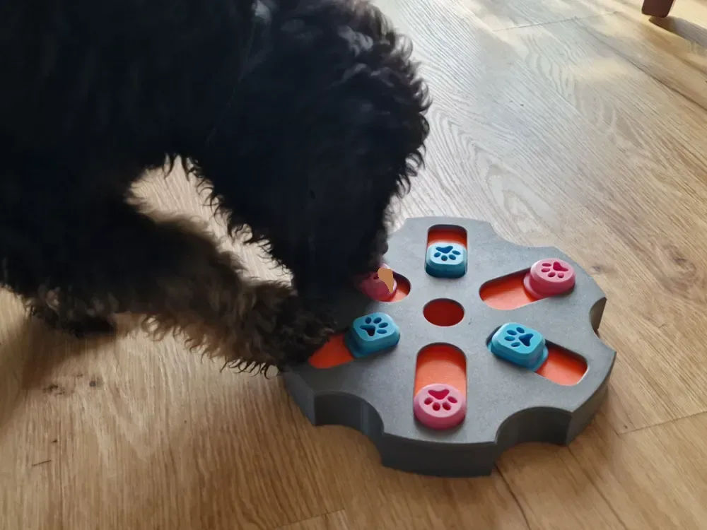 Juguete de inteligencia para perros nivel 2, vista 1