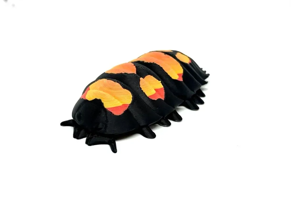 Isópodo articulado - Porcellio laevis, ¡también MINI!, vista 2