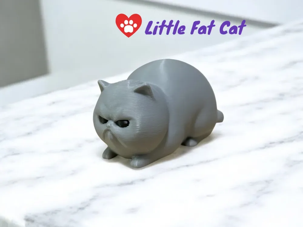 Pequeño gato gordo enojado, vista 1