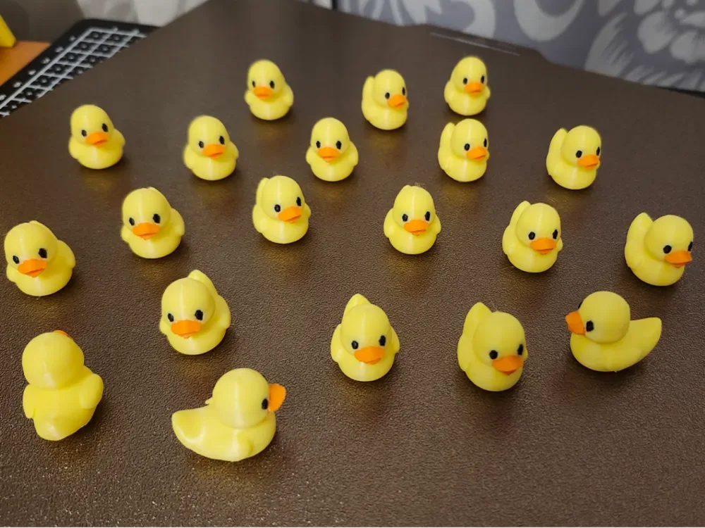 Mini pato, vista 1