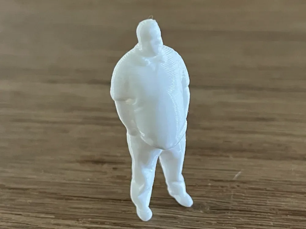 Pequeño Gordo, vista 1