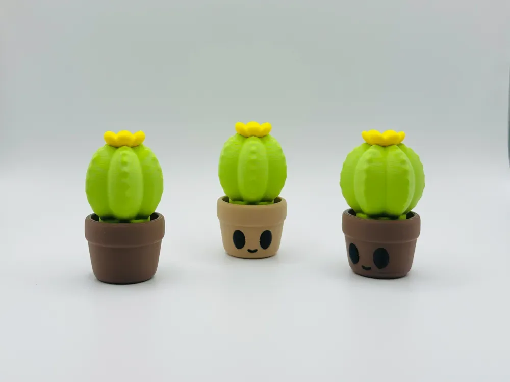 Pulsador de cactus, vista 1