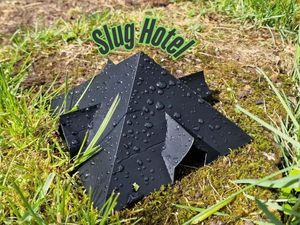 Hotel Slug (trampa mortal), vista 1