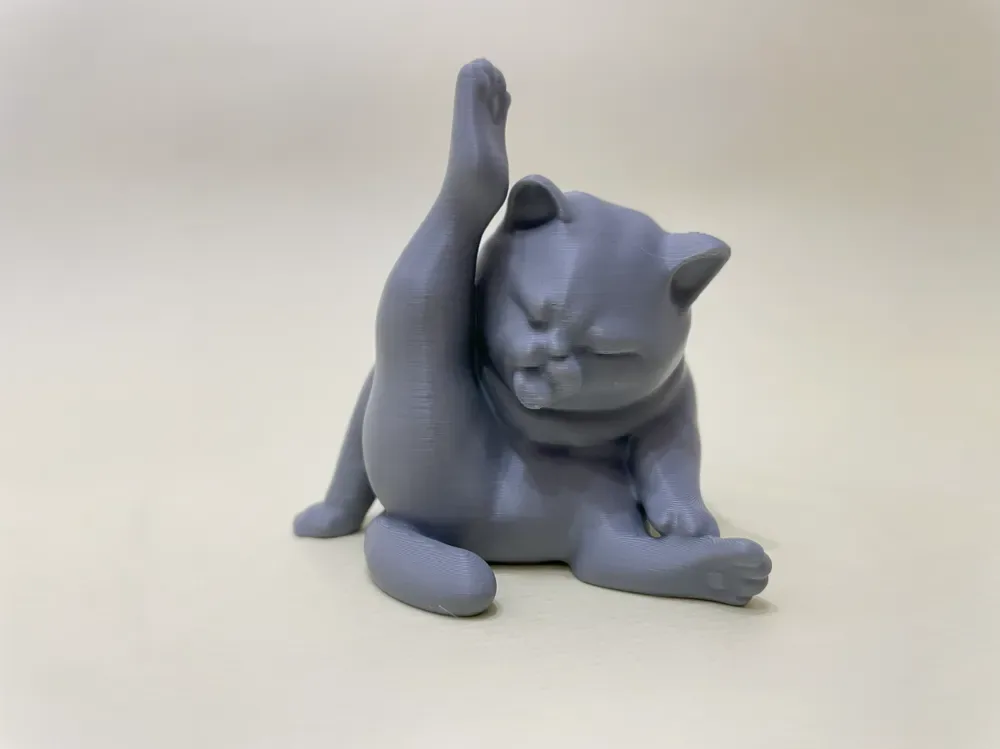 El aseo del gato gordo, vista 2