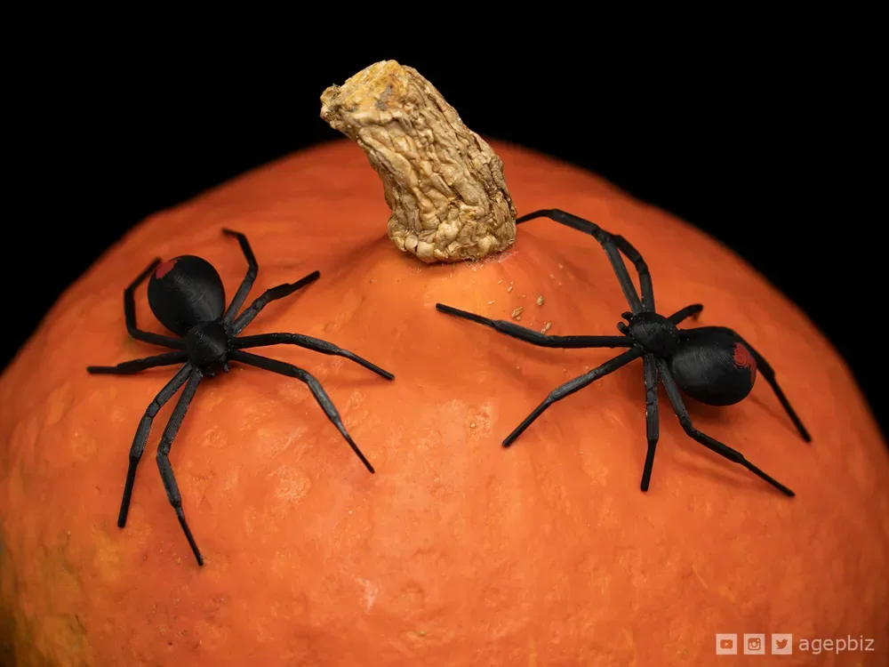 Araña Viuda Negra TPU, vista 1
