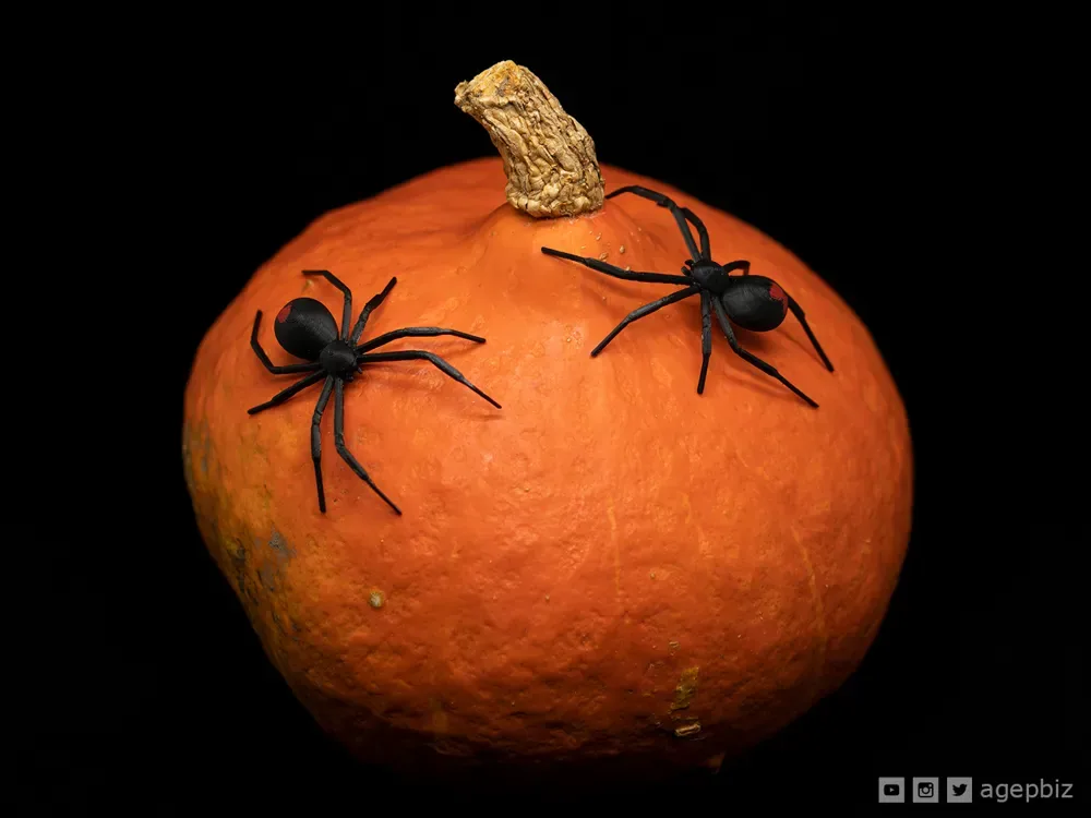 Araña Viuda Negra TPU, vista 2