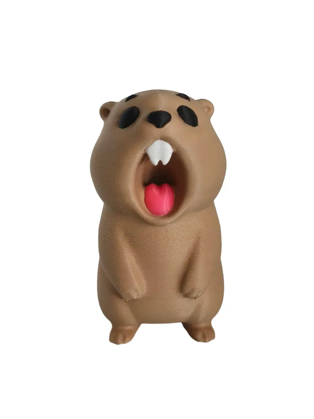 Marmota gritando, vista 2