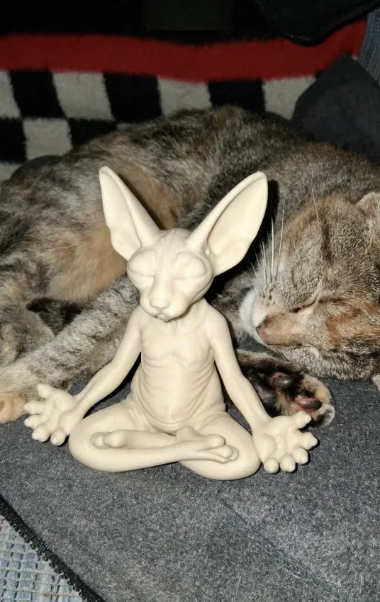Chat Esfinge zen, vista 2