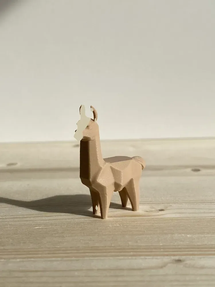 Llama / Alpaca, vista 2