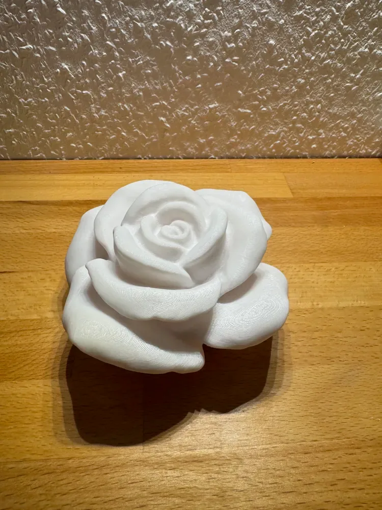 Rosa, vista 2