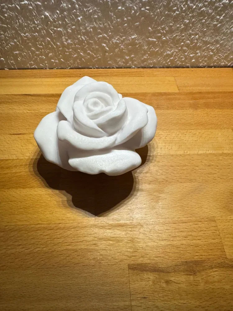 Rosa, vista 3