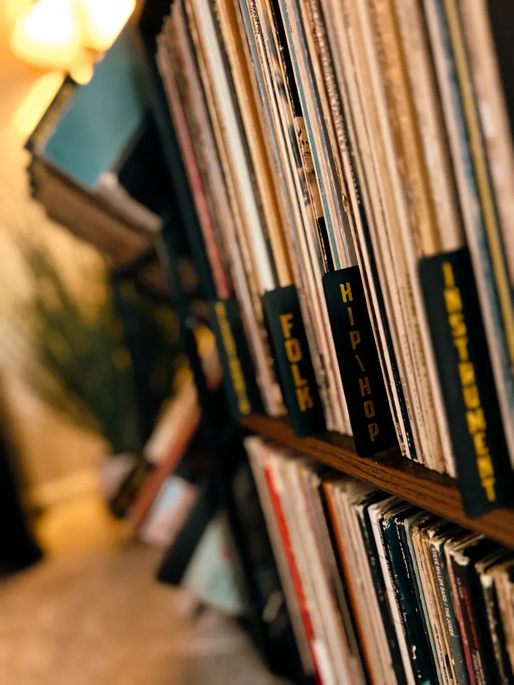 Etiquetas organizadoras de géneros de discos de vinilo, vista 2