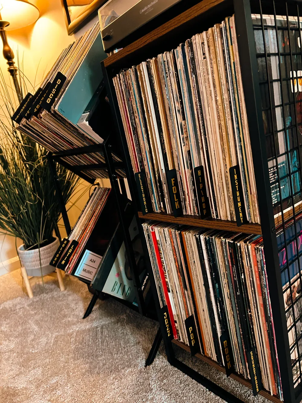 Etiquetas organizadoras de géneros de discos de vinilo, vista 3
