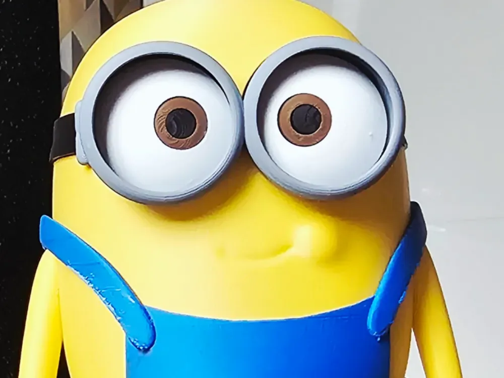 BOB Minion SIN AMS, vista 1