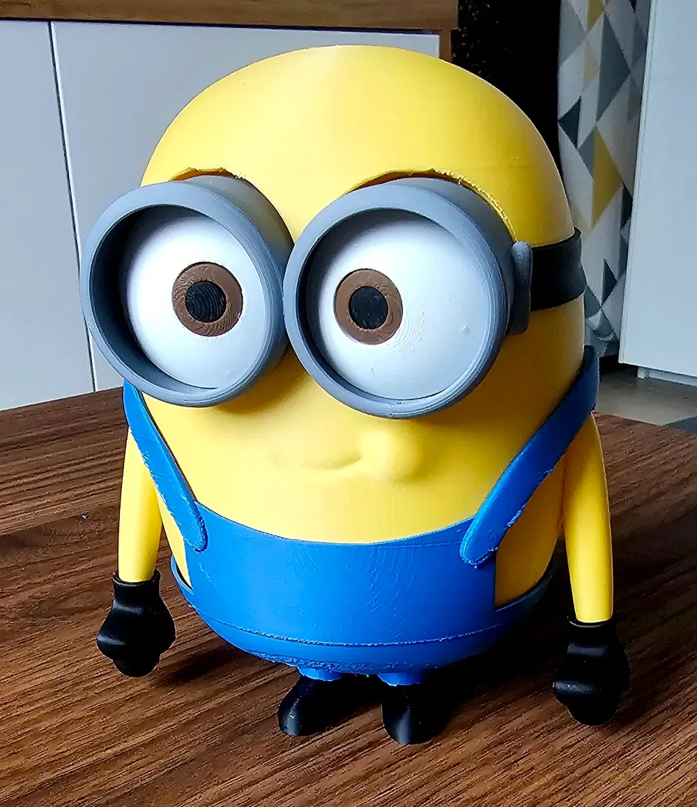 BOB Minion SIN AMS, vista 2
