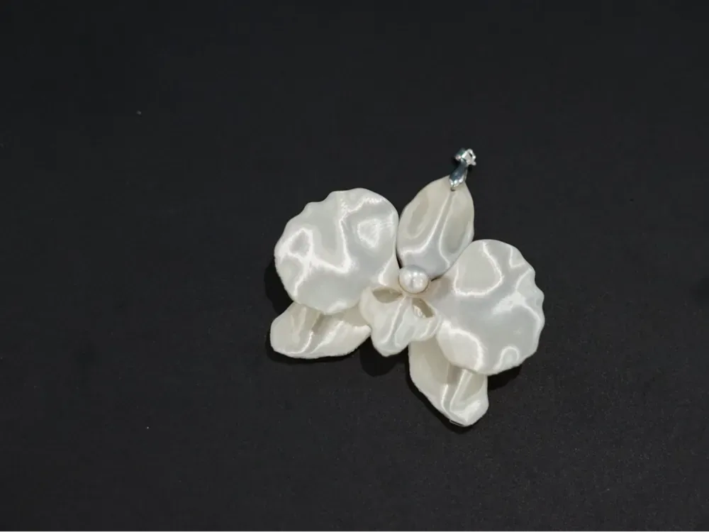 Phalaenopsis (se puede convertir en un collar, un broche o un imán para el refrigerador), vista 1