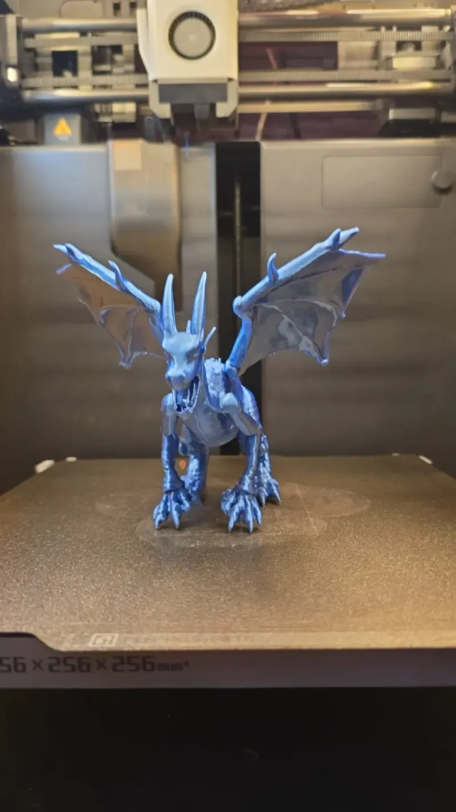 dragón,de, vista 3