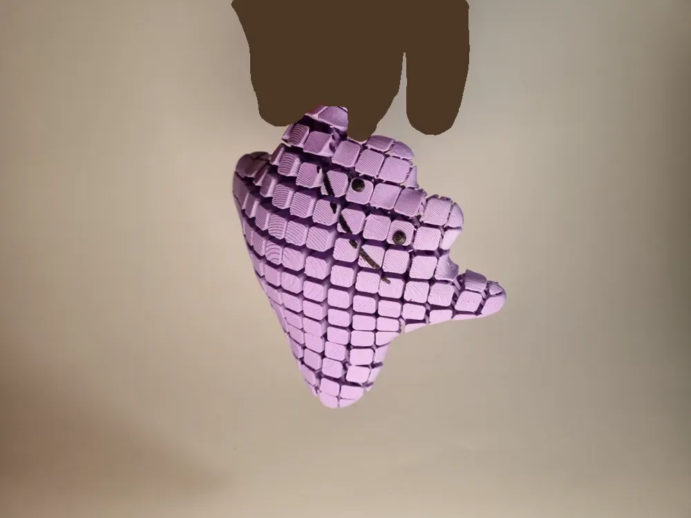 Ídem flexible, vista 1
