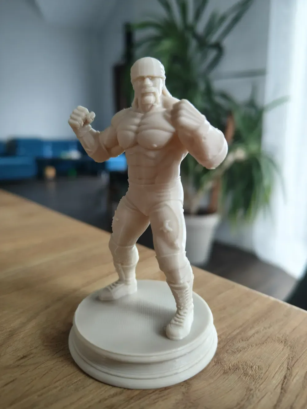 Hulk Hogan, vista 2