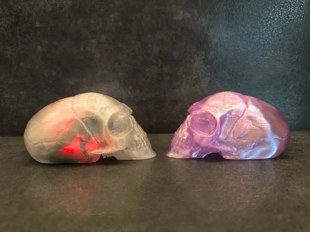 Calavera de Cristal - Indiana Jones, vista 2