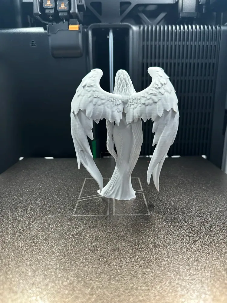 Ángel oscuro, vista 3