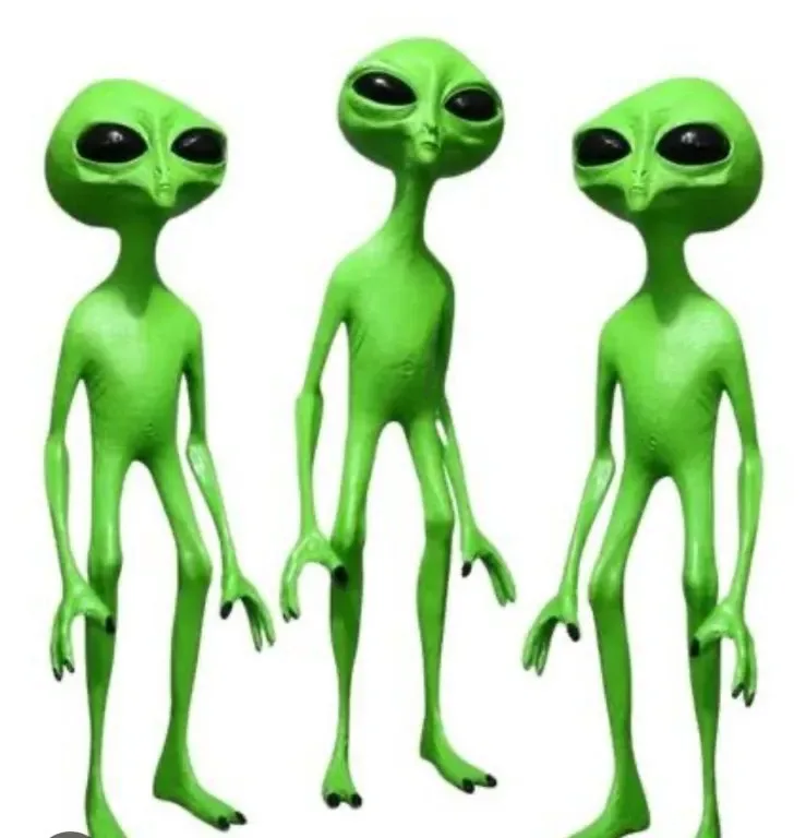 Flaco E.T., vista 2