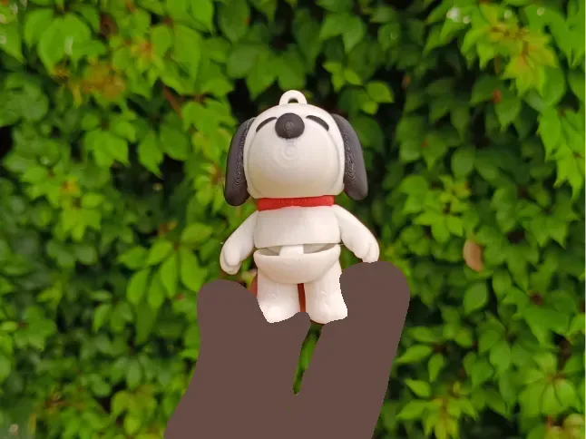Snoopy Flexi, vista 1