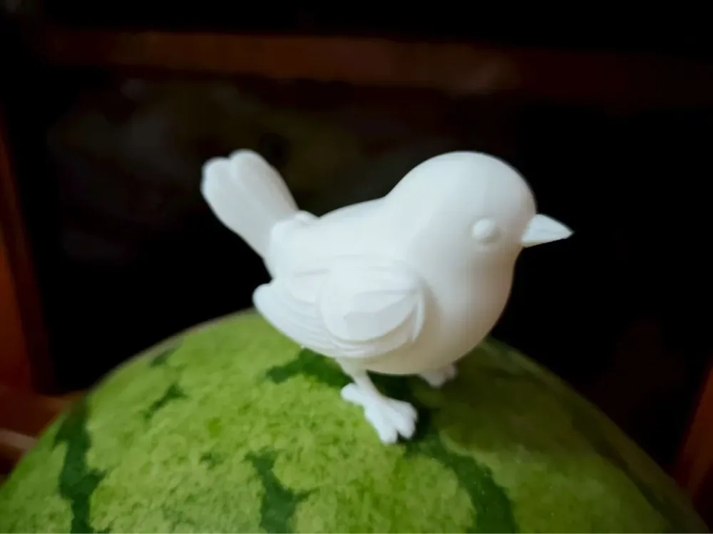 Pájaro, vista 1