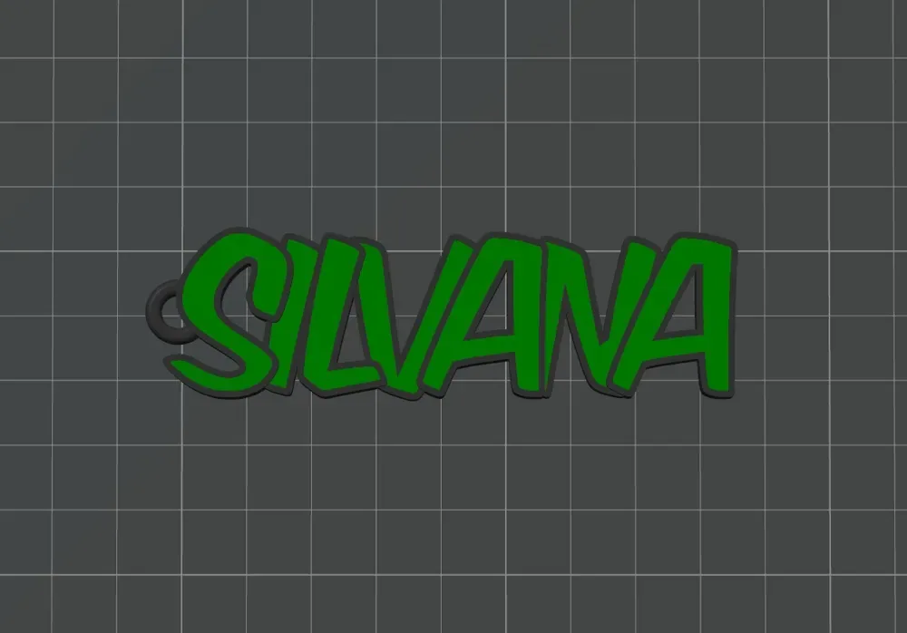 Precioso llavero con el nombre Silvana, vista 2