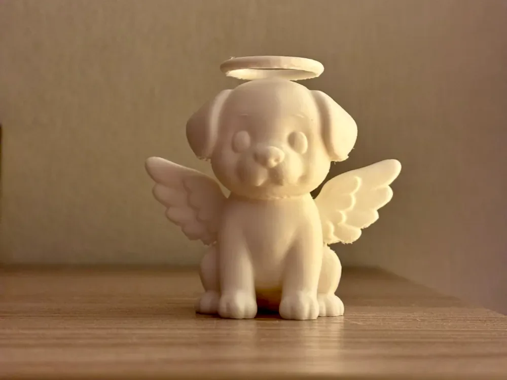 perro ángel, vista 1