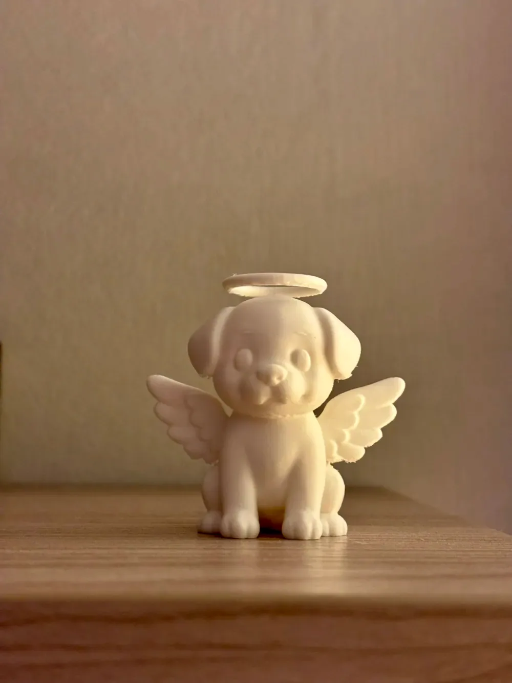 perro ángel, vista 2