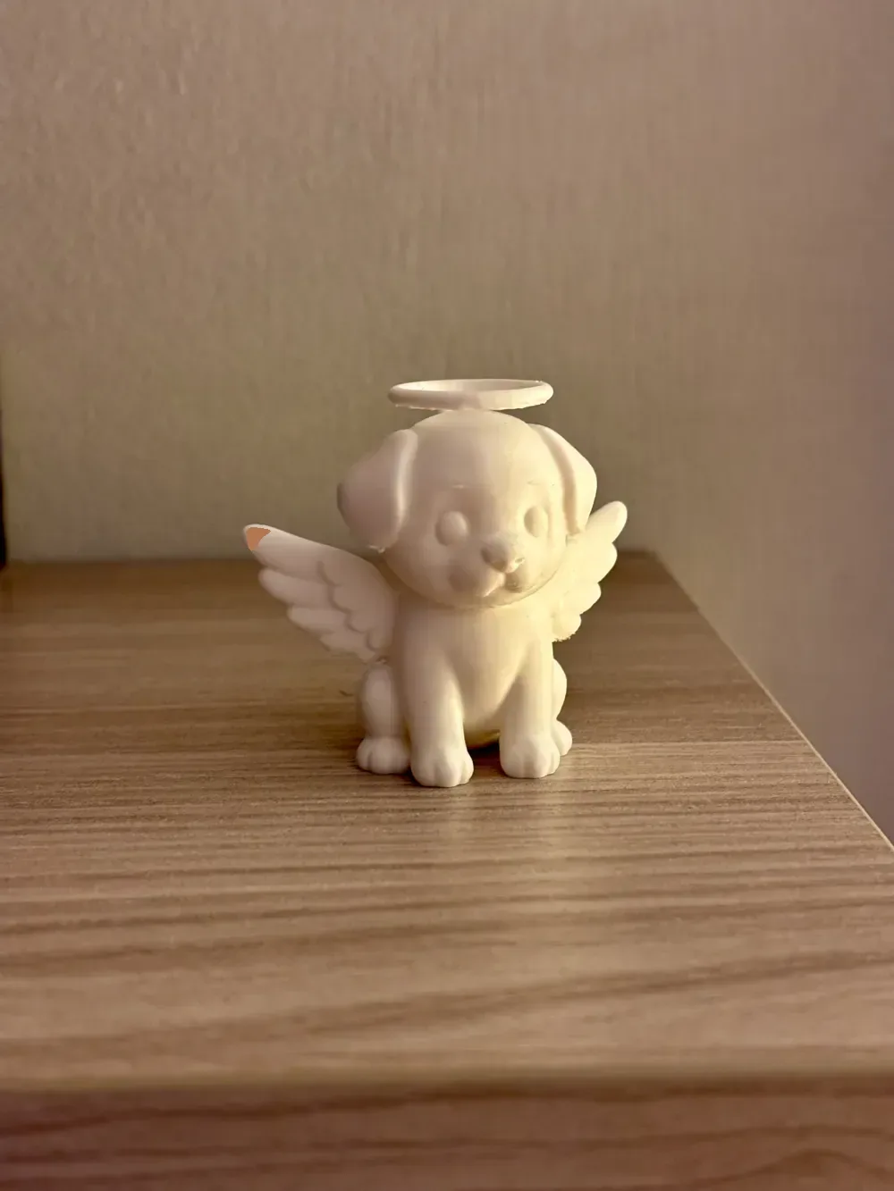perro ángel, vista 3