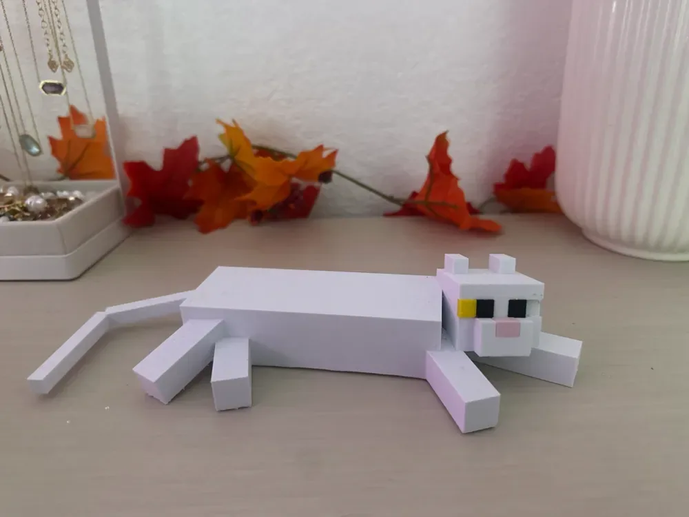 Gato minecraft, vista 1