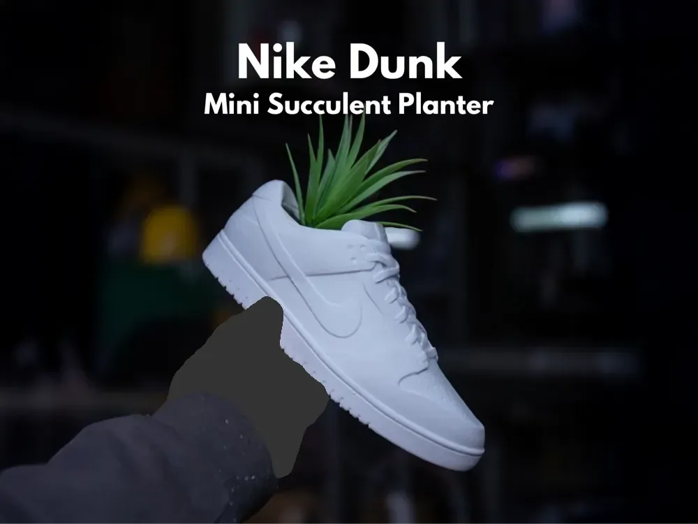 Plantadores de zapatillas - Nike Dunk One Color, vista 1