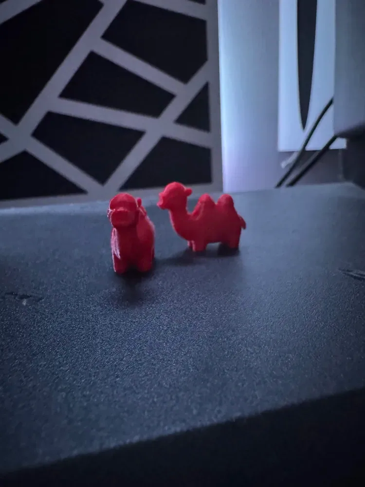 Mini camello v2, vista 2