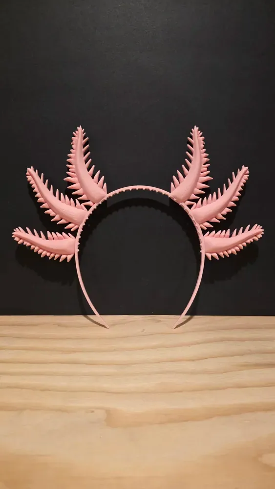 Diadema de branquias de ajolote, vista 2