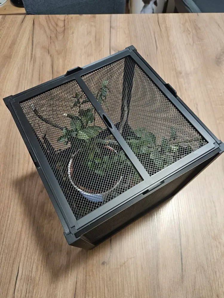 Terrario de malla para mantis e insectos, vista 3
