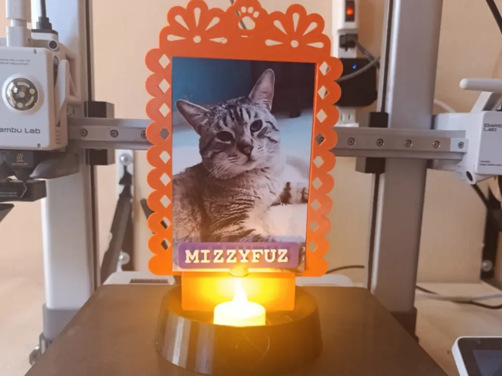 Ofrenda de mascotas, vista 1