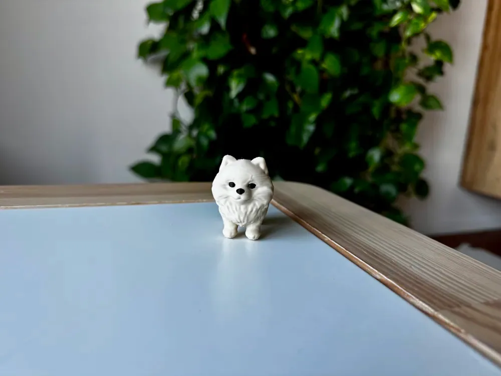 Pomeranio, vista 2