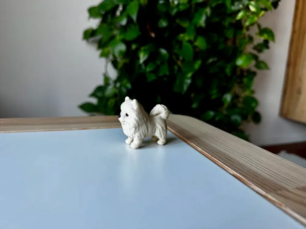 Pomeranio, vista 3