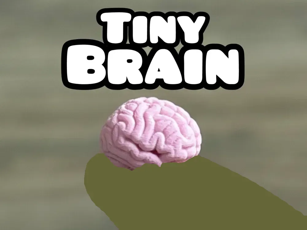 Cerebro diminuto: para alguien que pueda necesitarlo, vista 1