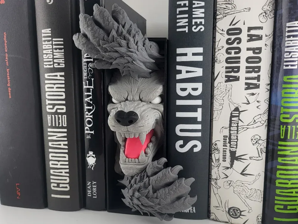 Rincón del libro del hombre lobo - NO AMS the Books, vista 1