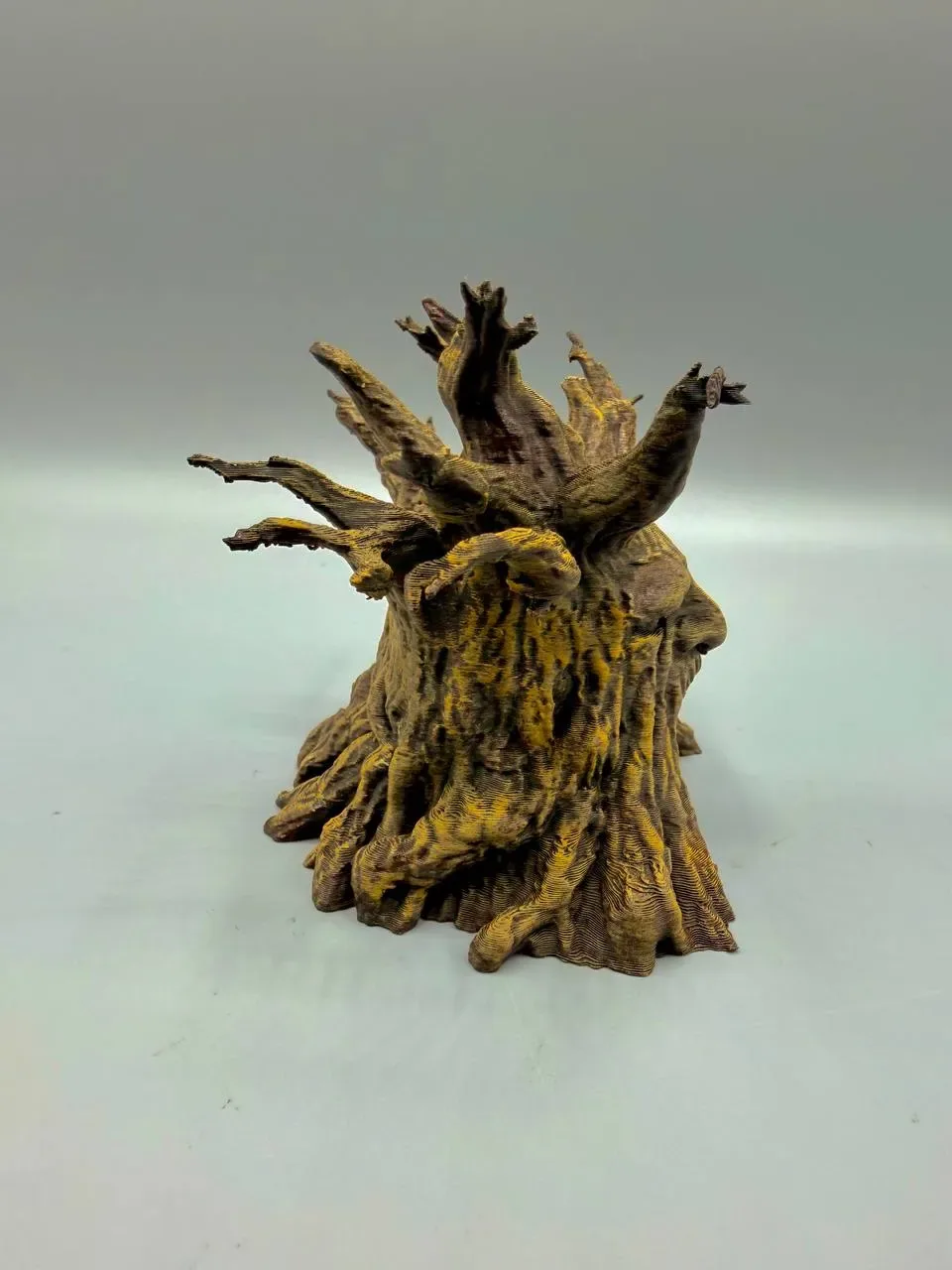 Árbol Deku, vista 3