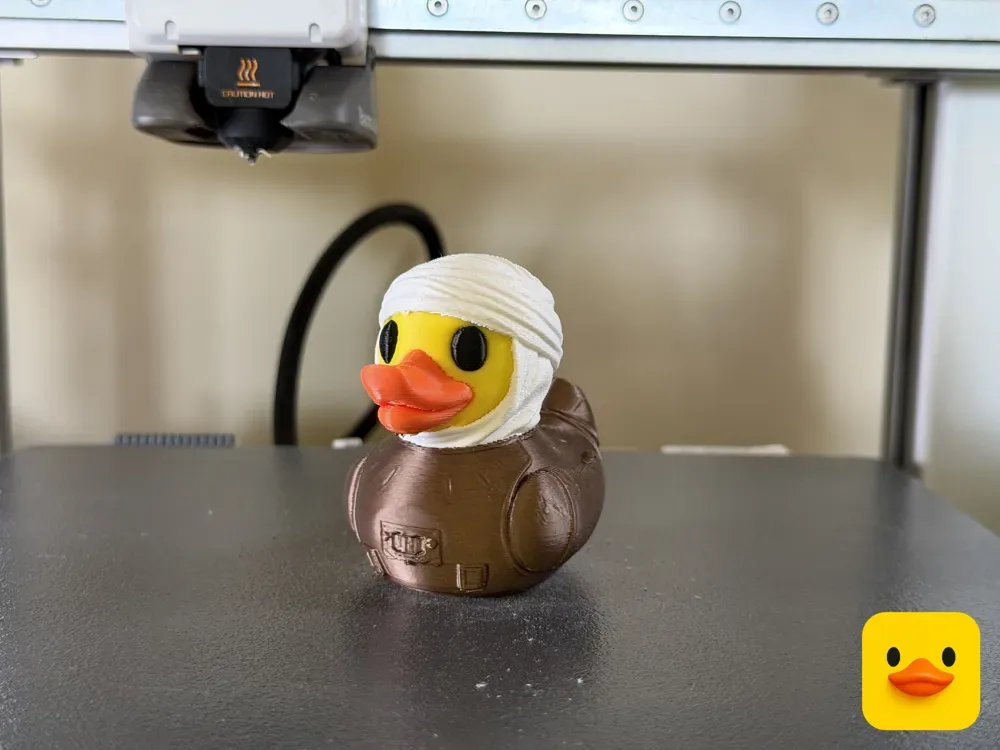 Escucha pato,ms, vista 2